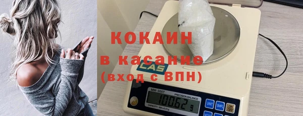 прущие грибы Костерёво