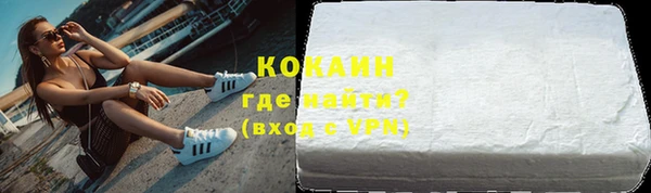 прущие грибы Костерёво