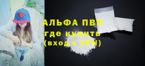 прущие грибы Костерёво
