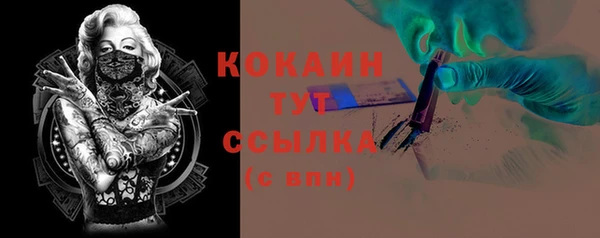 прущие грибы Костерёво