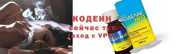 прущие грибы Костерёво