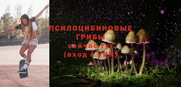 меф Корсаков