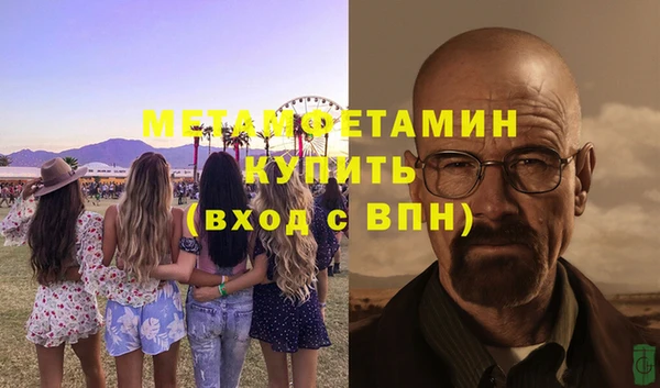 прущие грибы Костерёво