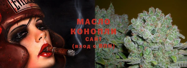 стаф Кодинск